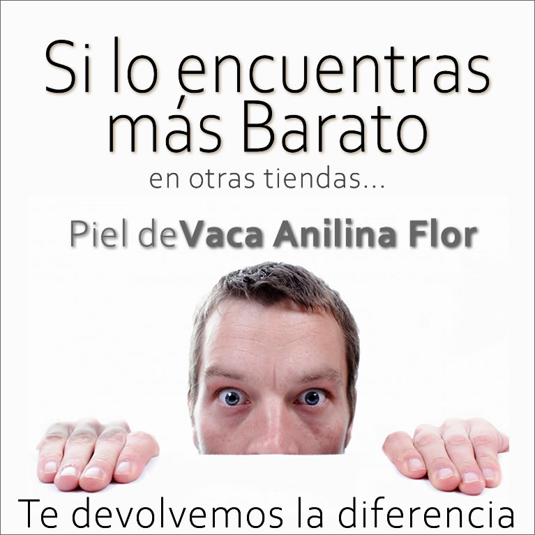 SOFAS PIEL MOTORIZADOS